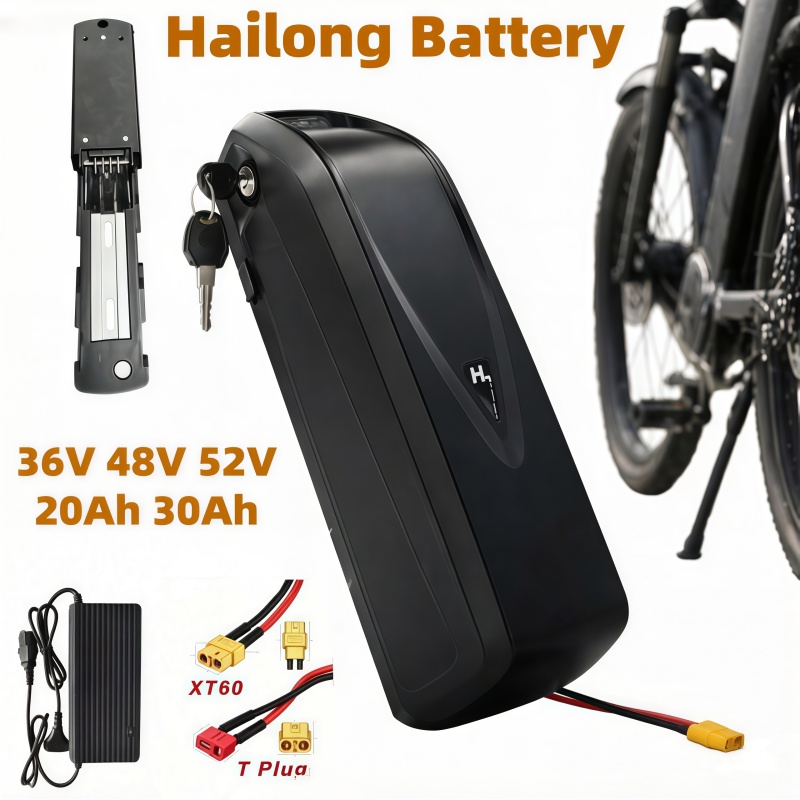 Ebike Battery 48V 20Ah Hailong - Batterie de vélo électrique multi-tailles modèle