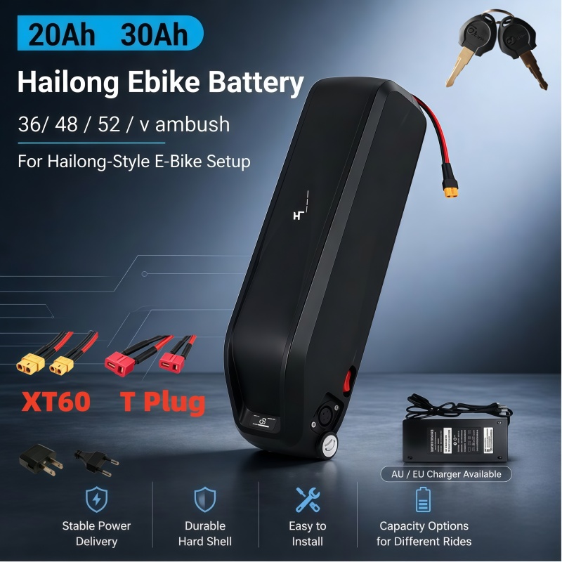 Ebike Battery 48V 20Ah Hailong - Batterie Hailong polyvalente, multi-tensions 36V 48V